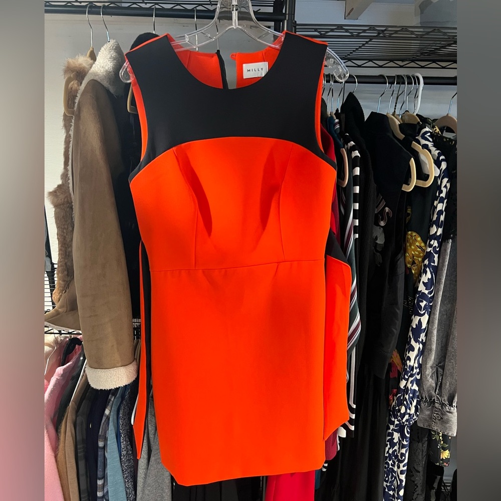 Milly Size 4 or 6